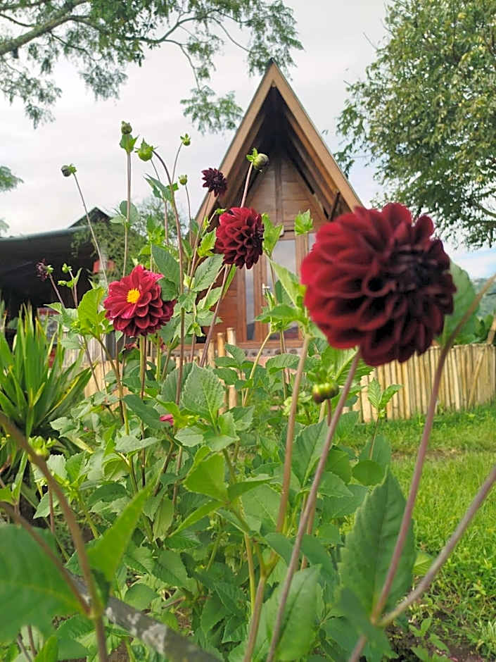 Kintamani Adventure 'Hide Away In Kintamani