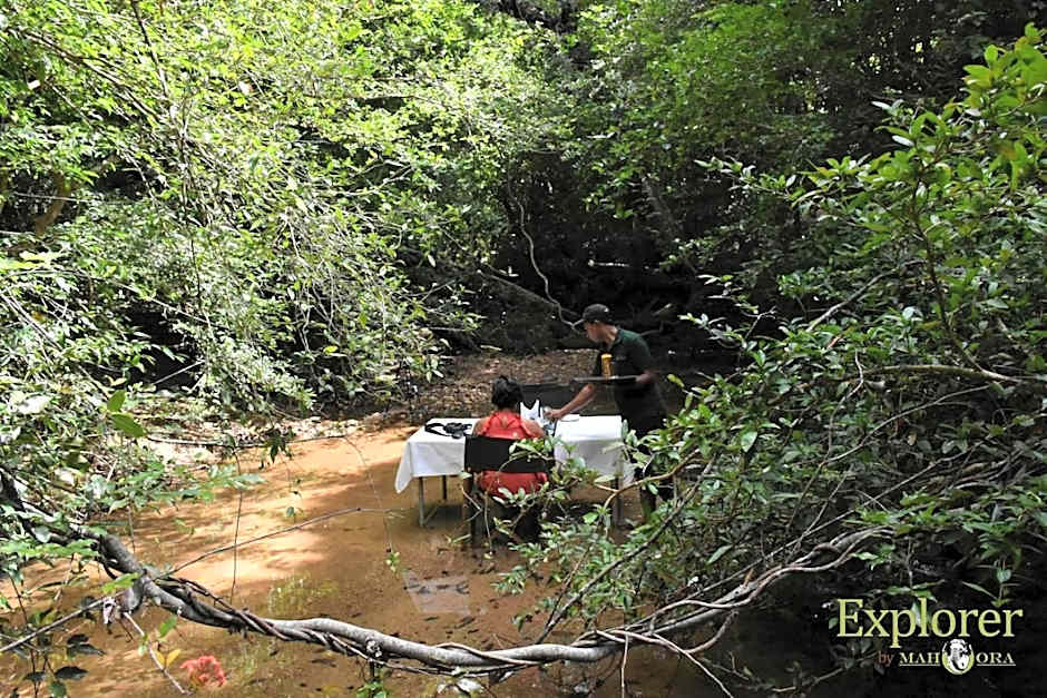 Explorer by Mahoora - Wasgamuwa