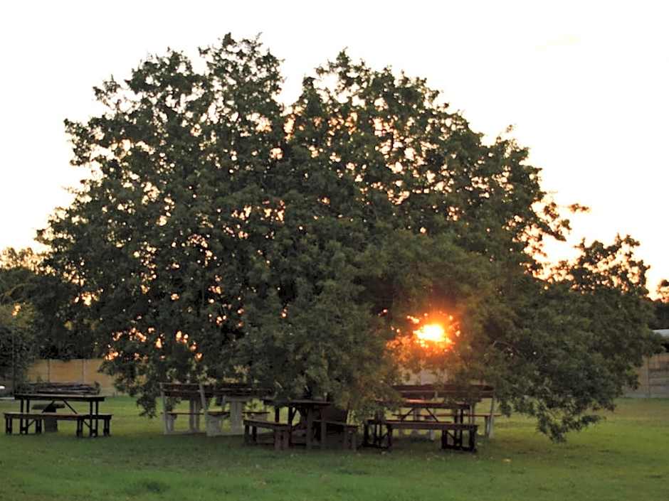 The Palms Albertinia