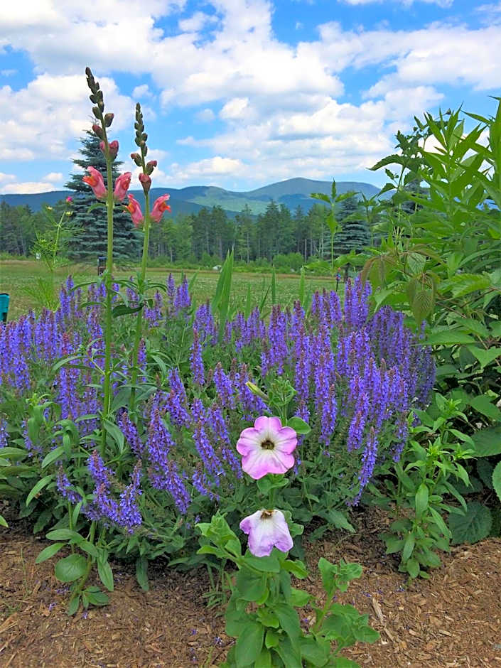 Robert Frost Mountain Cabins