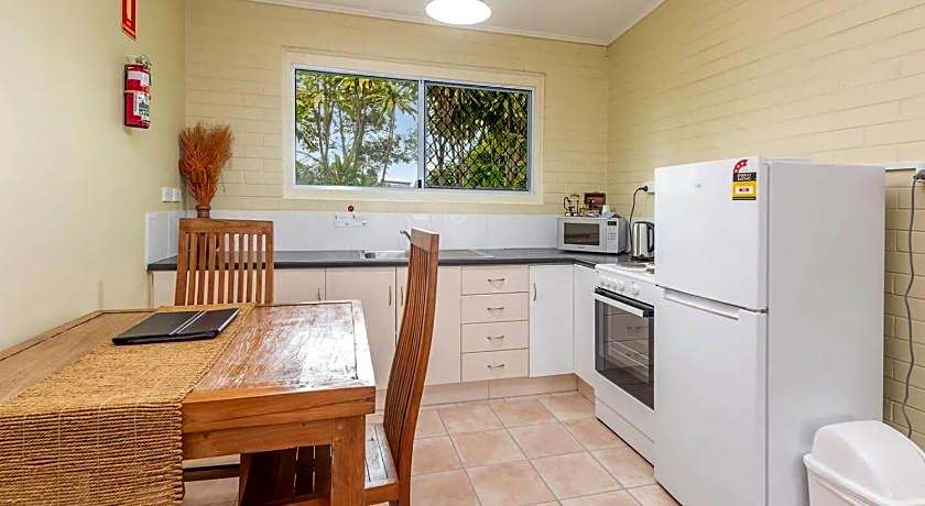 Coconut Palms on the Bay