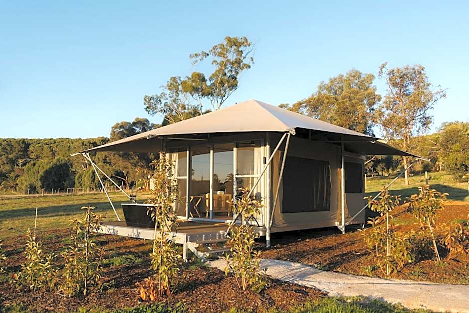 CANVS by CABN Seppeltsfield Barossa