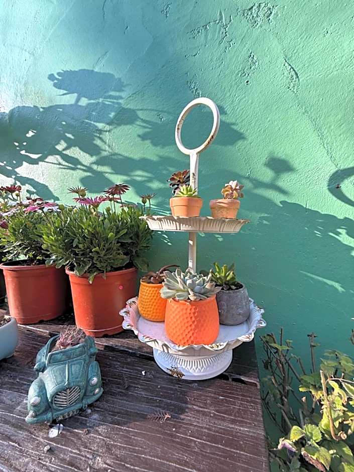 Alishan Tea Garden B&B