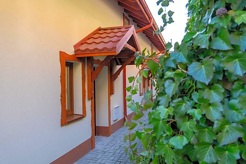 Willa i Wzgórze Jerrego Apartamenty i pokoje z widokiem na góry