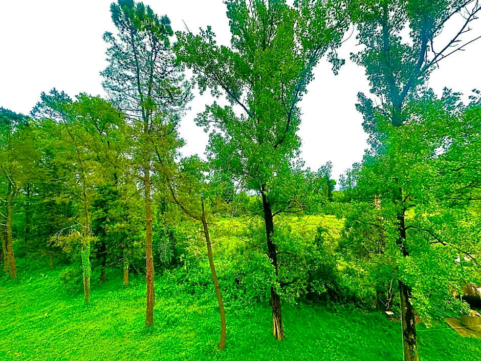 Park Hotel Imeri kutaisi