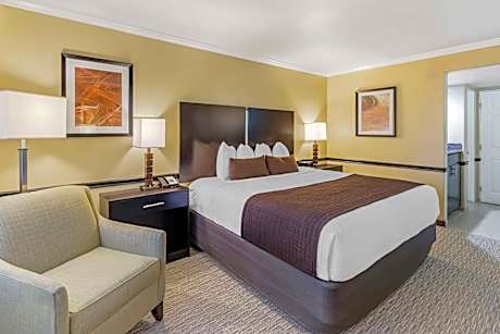 1 King Bed, Non-Smoking, High Speed Internet Access, Deluxe Room, Microwave And Refrigerator, Full B