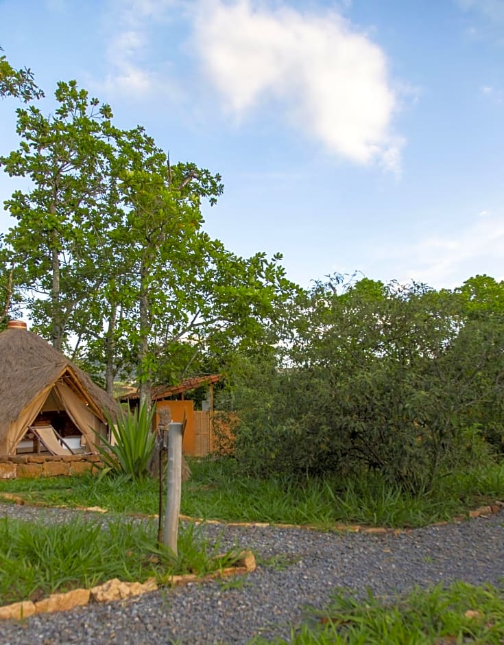 Photo 1 of 5 of Glamping Carpa estándar (1 Queen Bed and 1 Twin Bed)