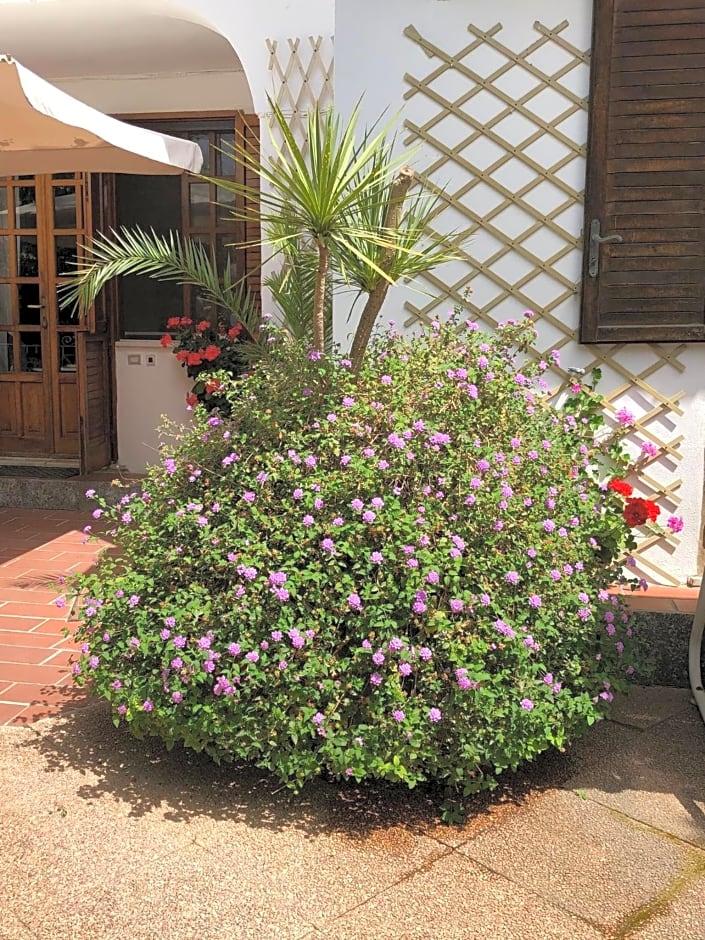 B&B Villa Anna Wunderbar