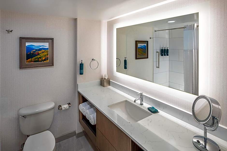DoubleTree By Hilton Hotel Johnson City