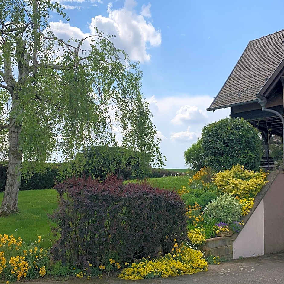 Appartement charmant à Hochfelden - 100 m² et parking gratuit