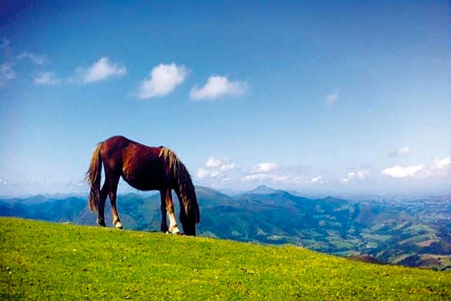 Maison " Elixondoa "