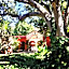 Hacienda de los Santos