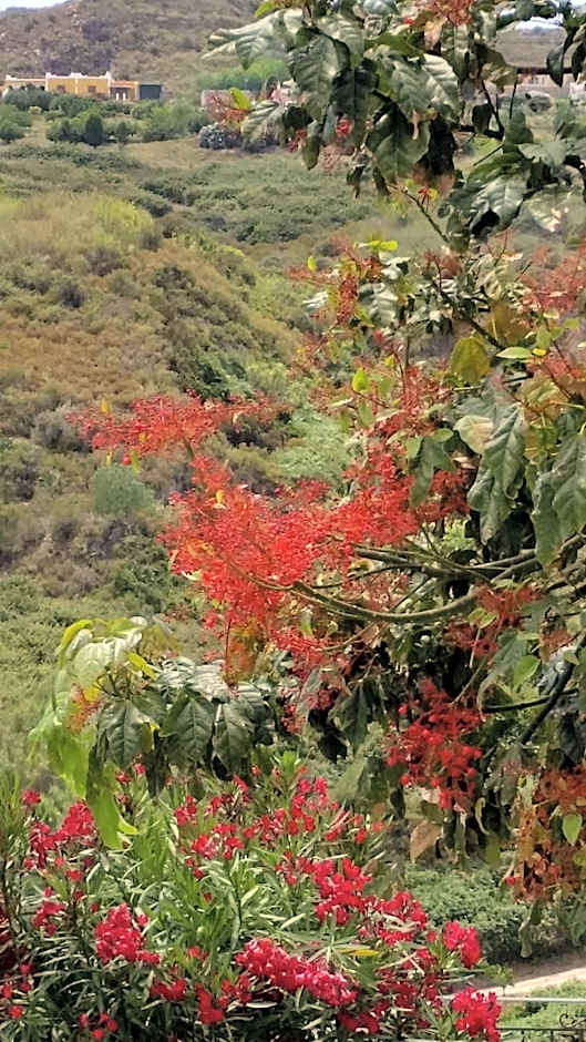 B&B Villa Maristella