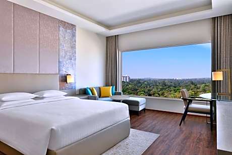 Presidential Suite, 1 Bedroom Suite, 1 King, City View, Executive Lounge Access, , 2 pieces laundry per day