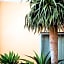 Kimpton Shorebreak Huntington Beach Resort By IHG