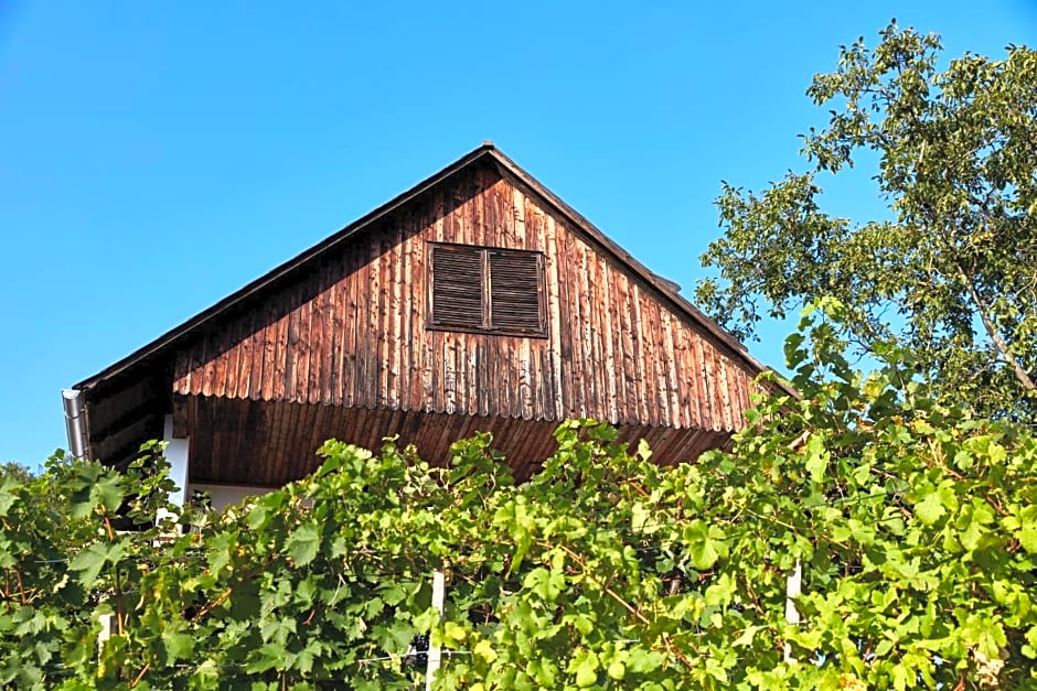 Weinberg Lodge - Kellerstöckl