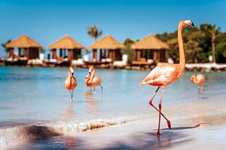 Renaissance Wind Creek Aruba Resort