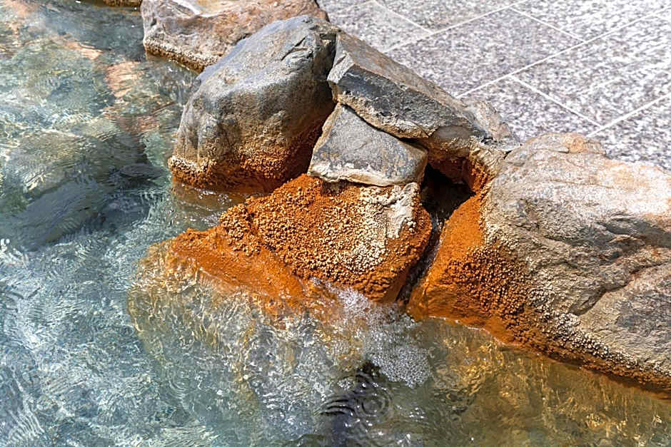 Kagoshima Sunamushionsen Ibusuki Hakusuikan