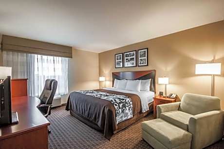 1 King Bed, Nonsmoking
