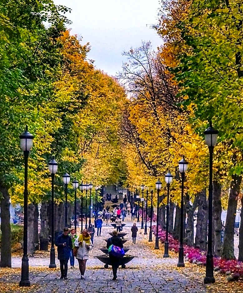 First Hotel Millennium