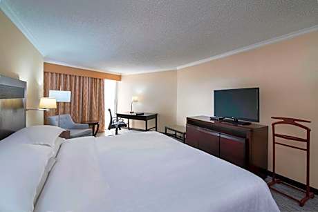 Larger Guest room, 1 King, Partial ocean view