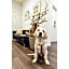 PRIMA Inn HOTEL & HOF NEURUPPIN - digitales & rezeptionsloses Motel