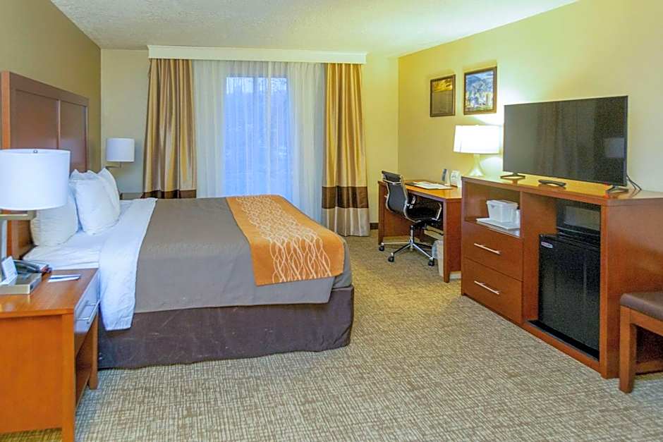Comfort Inn Salt Lake City Downtown
