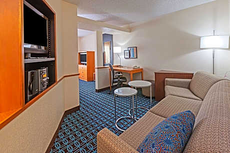 Studio Suite, 1 King Bed with Sofa bed (1 King Bed and 1 Double Sofa Bed)
