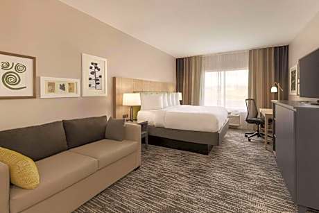Studio Suite with King Bed and Sofa Bed - Non-Smoking