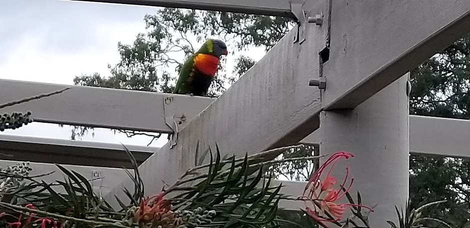 Taree Country Motel