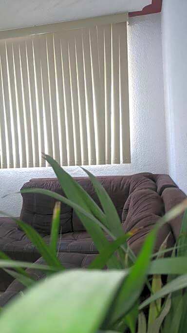 La Casa del Oso Querétaro *Cerca del Centro*