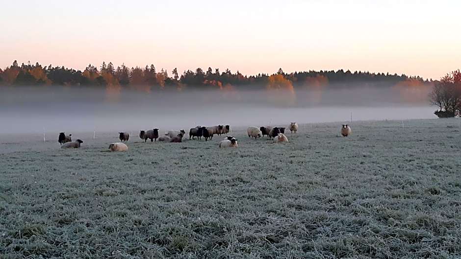 Kullens Bed and Breakfast