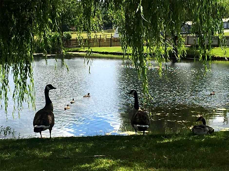Mellington Hall Country House Hotel