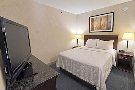 Deluxe Queen Suite