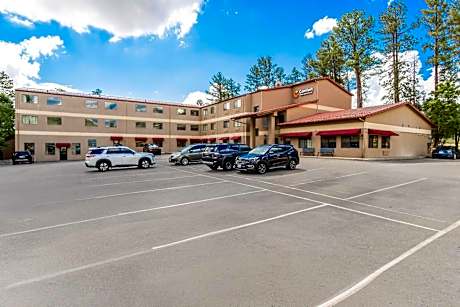 Comfort Inn & Suites Midtown