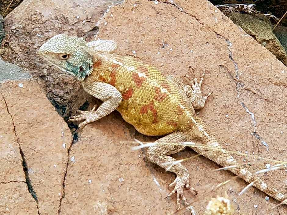 Dar Assarou - Toubkal National Park Lodge