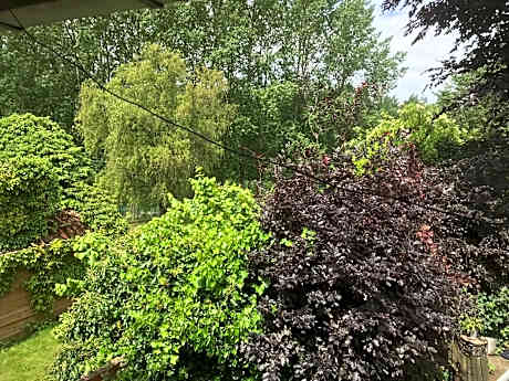 Studio with Garden View