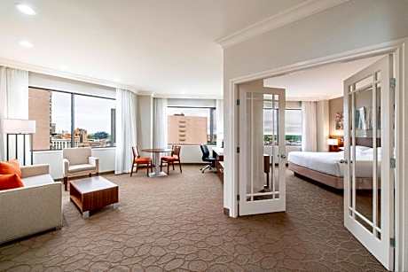 Executive Suite Queen or King