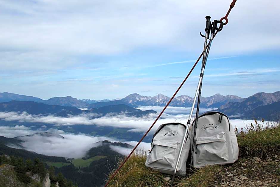 Alpenhotel & Aparthotel Lanz