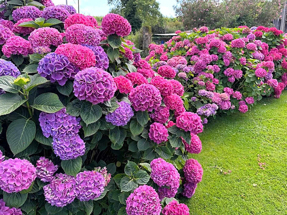 Maison d'Hôtes Canterou