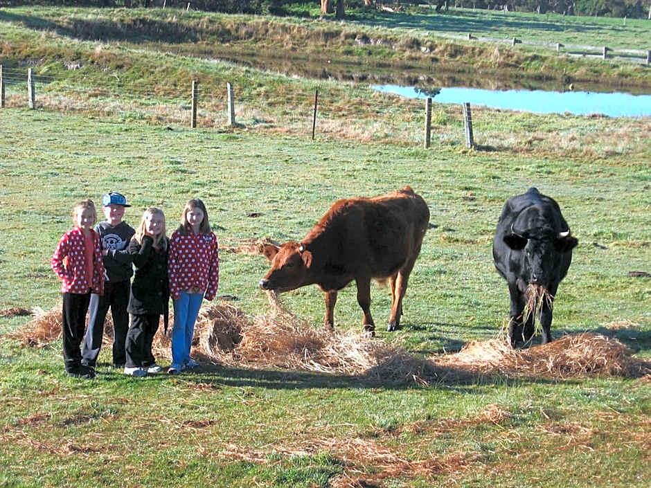 Prom Coast Holiday Lodge