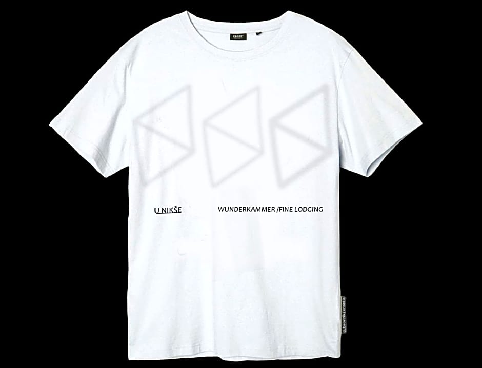 Old Town Apartments u nikse