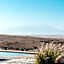 The White Camel Camp - Agafay Desert Activities