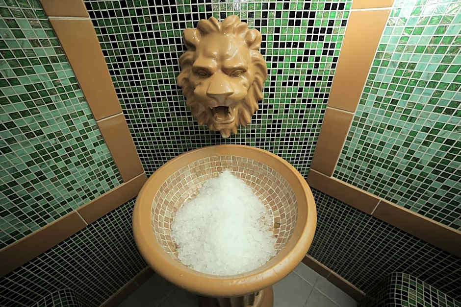 Business Hotel Conference Center & Spa