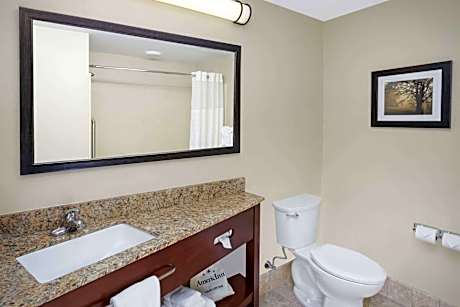 King Studio Suite with Bath Tub and Grab Bars - Mobility Accessible - Non-Smoking