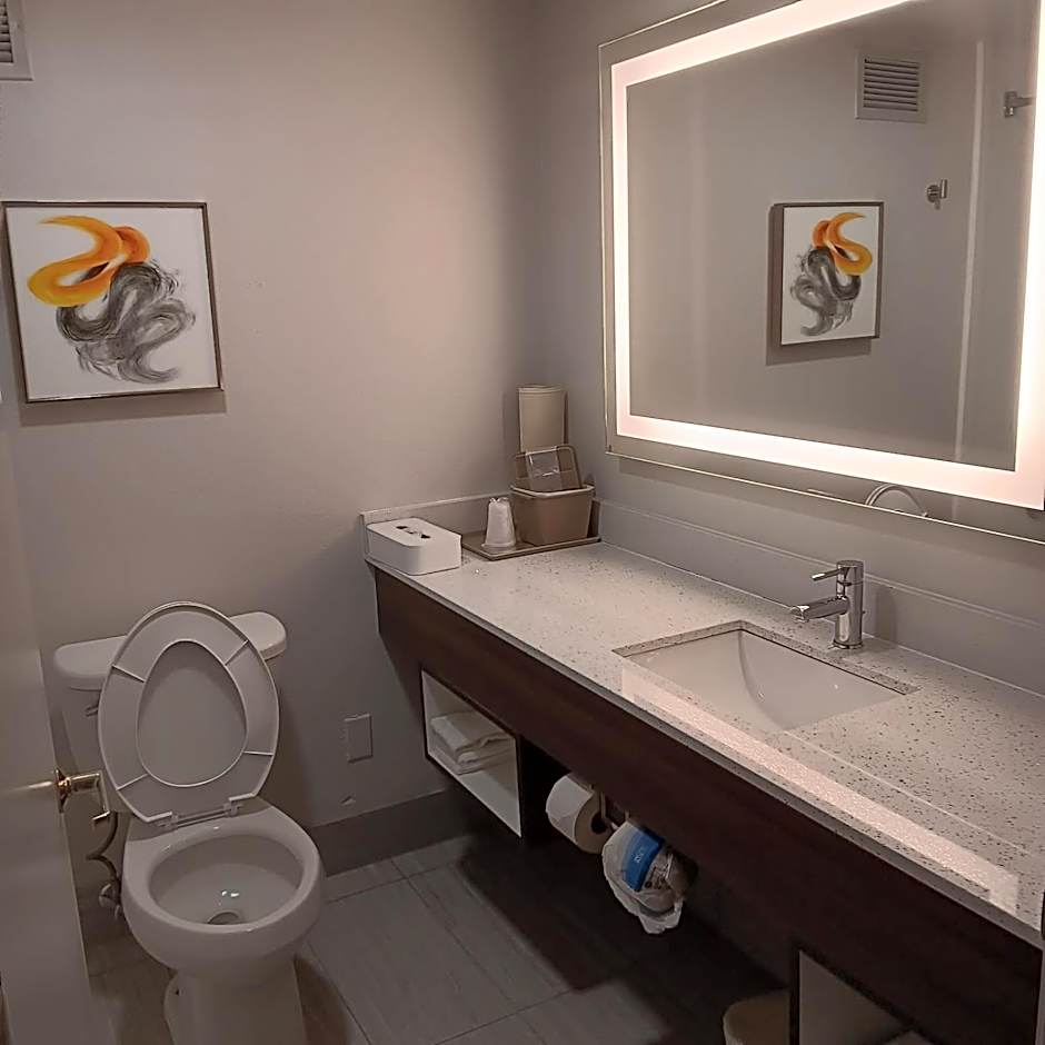 Comfort Inn North of Asheville