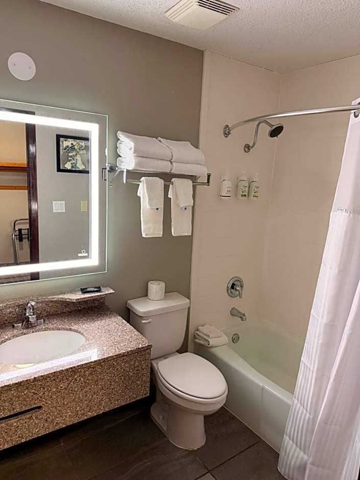 AmericInn by Wyndham Appleton Downtown