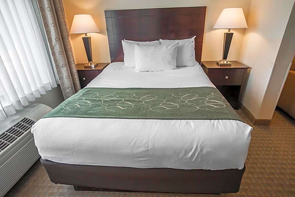 Comfort Suites University Area