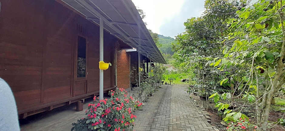 OYO 90031 Villa Papada