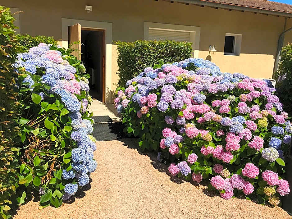 Auberge Les Hauts De Chenas